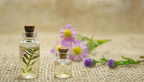 تصویر 1 از قیمت اسانس گیاهی خوشبو با کیفیت ارزان + خرید عمده